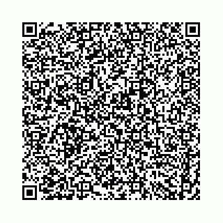 vCard 74958484335