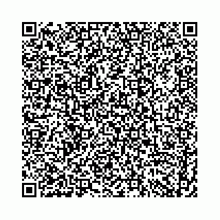 vCard 74958484369