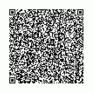vCard 74958484371