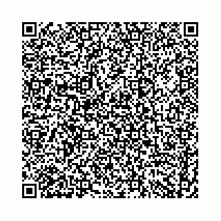 vCard 74958484378