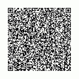 vCard 74958484380