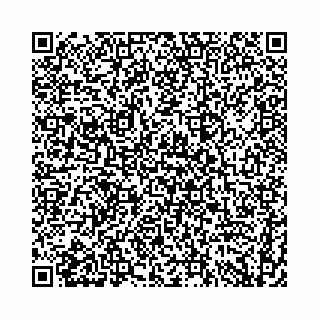 vCard 74958484381
