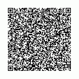 vCard 74958484383