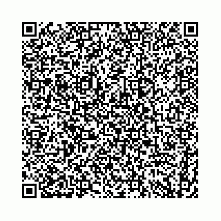 vCard 74958484387
