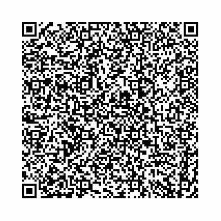 vCard 74958484391