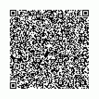 vCard 74958494117