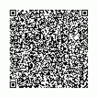 vCard 74958494130