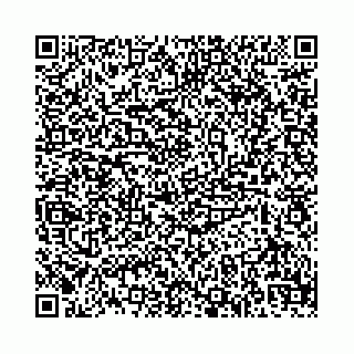 vCard 74958494131