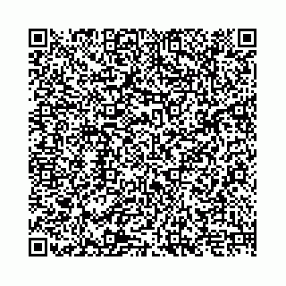 vCard 74958494132