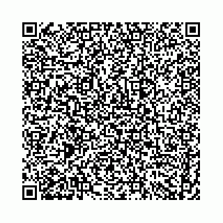 vCard 74958494133