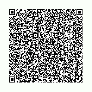vCard 74958494187