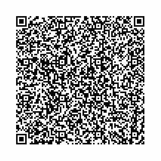 vCard 74958494205