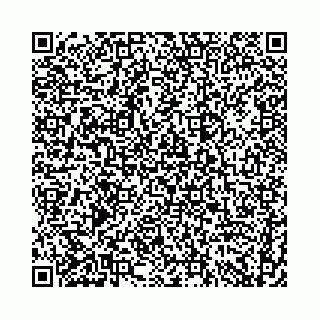 vCard 74958494208