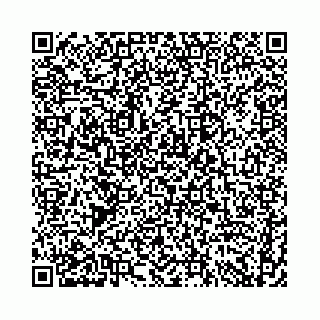 vCard 74958494209