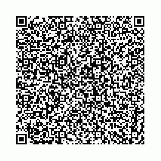 vCard 74958494217