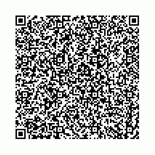 vCard 74958494219