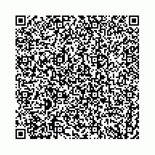 vCard 74958494287
