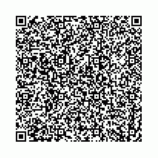 vCard 74958494293
