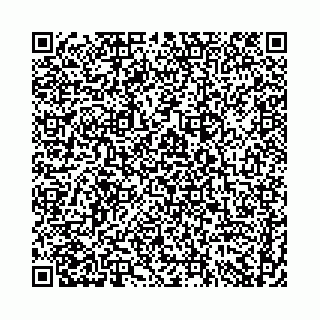 vCard 74958494314