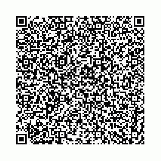 vCard 74958494317