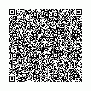 vCard 74958494333