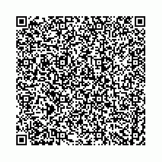vCard 74958494334