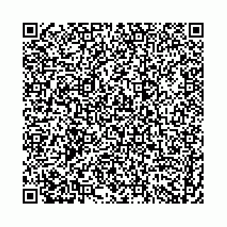 vCard 74958494338