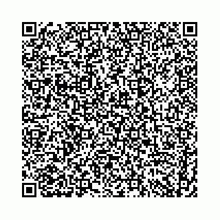 vCard 74958494341