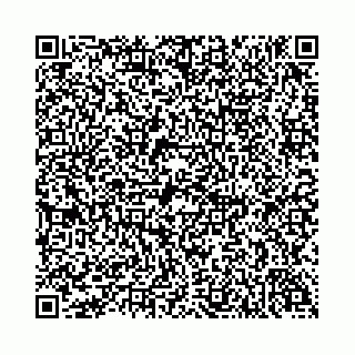 vCard 74958494351