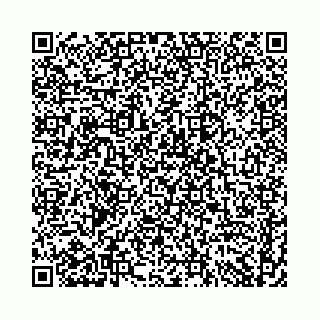 vCard 74958494353