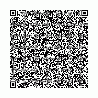 vCard 74958494381