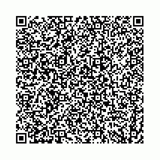 vCard 74958494382