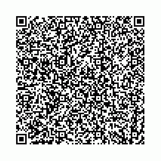 vCard 74958494384