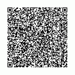 vCard 74958494385