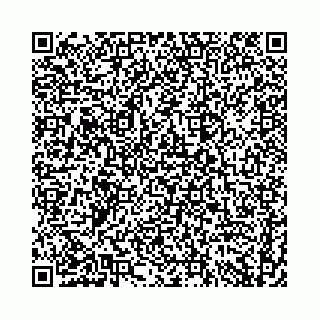vCard 74958494394