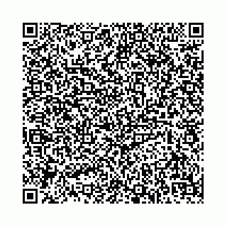 vCard 74958497139
