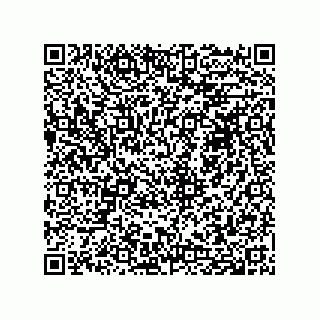 vCard 74958580010
