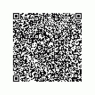 vCard 74958580200