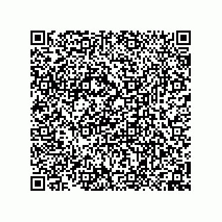 vCard 74958580203