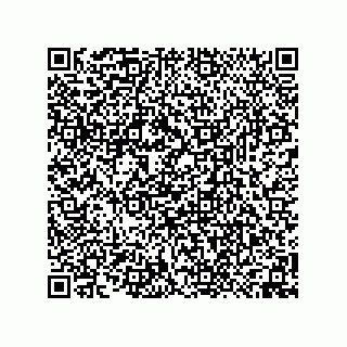 vCard 74958580204