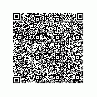 vCard 74958580205