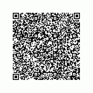 vCard 74958580207
