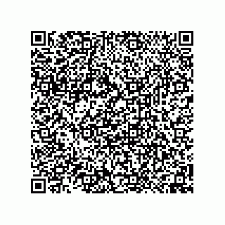 vCard 74958580209