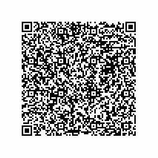 vCard 74958580213