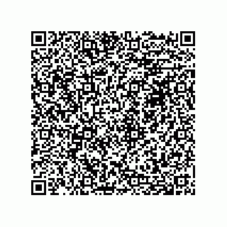 vCard 74958580219
