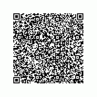 vCard 74958580221
