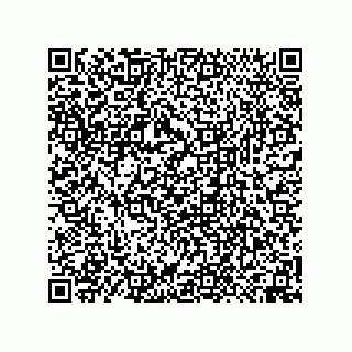 vCard 74958580229
