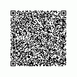 vCard 74958580248