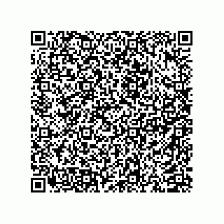 vCard 74958580250
