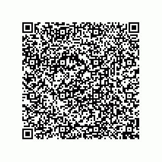 vCard 74958580288